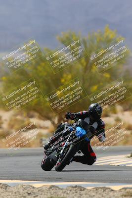 media/Apr-10-2022-SoCal Trackdays (Sun) [[f104b12566]]/Turn 5 Tree of Life (1040am)/